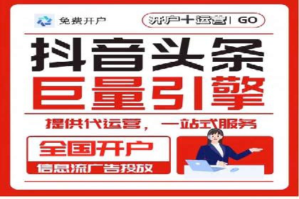 某行业头部企业信息流广告推广全解析